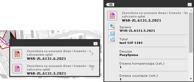 identyfikacja identyfikacja